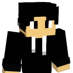 SkibidiSantRo's skin