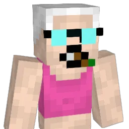 f4nnyfart Minecraft avatar bust