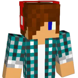 f6k358 Minecraft avatar bust