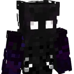 VoidrithX's skin