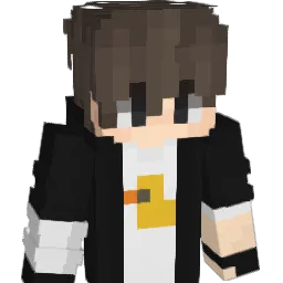 mc_robotica_21's skin