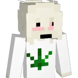 f9rt's Minecraft skin