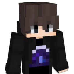 fLiP_rEsET Minecraft avatar bust