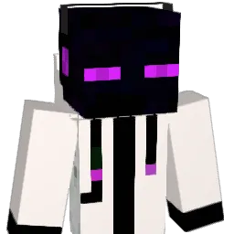 fabxs1 Minecraft avatar bust