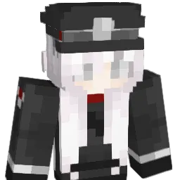 facemyflaws
