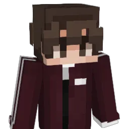 fake4sw_ Minecraft avatar bust