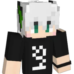 fantong408 Minecraft avatar bust