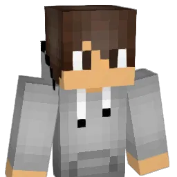 farmis123 Minecraft avatar bust