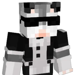 fart_1222 Minecraft avatar bust