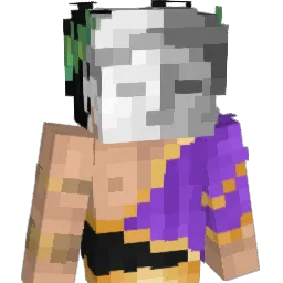 fashn_ Minecraft avatar bust