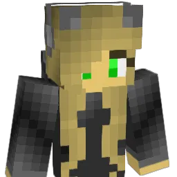 fassx8510 Minecraft avatar bust