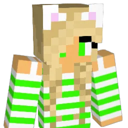 fatman903 Minecraft avatar bust
