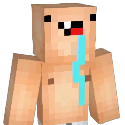 fattyfat55 Minecraft avatar bust