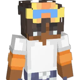 TaxTime's skin