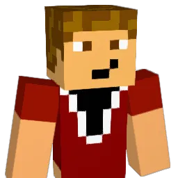 fberg9999 Minecraft avatar bust