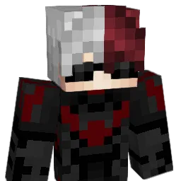 PUNGNX's skin
