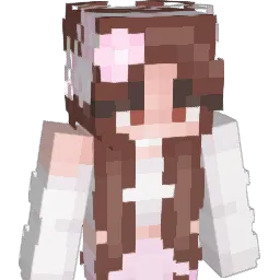 fea2les0 Minecraft avatar bust