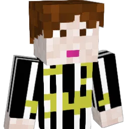 fedelapi Minecraft avatar bust