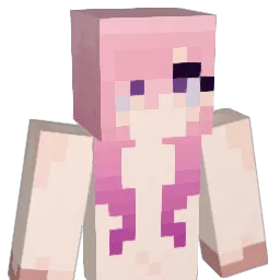 feitan_p02 Minecraft avatar bust