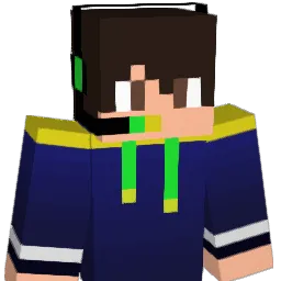 fel_795 Minecraft avatar bust