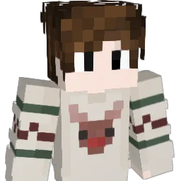 fer0ci0usmeme Minecraft avatar bust
