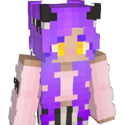 ferder_fr Minecraft avatar bust