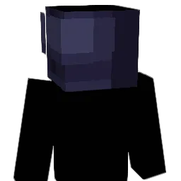 fernan5542 Minecraft avatar bust
