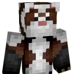 ferret141