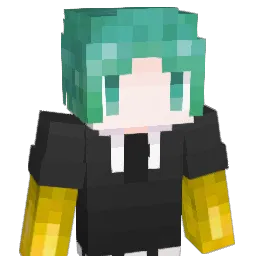 feru2022 Minecraft avatar bust