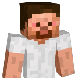 fettiwest Minecraft avatar bust