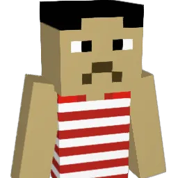 fh_1801 Minecraft avatar bust