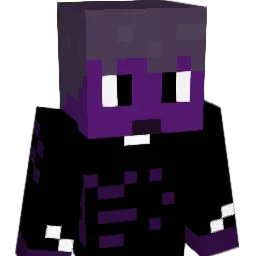 fibleyyy Minecraft avatar bust