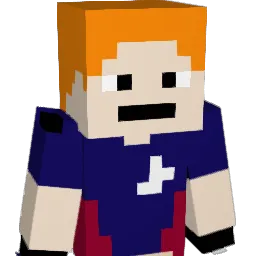 fidgee1234 Minecraft avatar bust