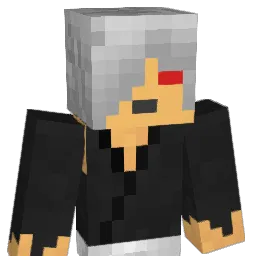 fif5050 Minecraft avatar bust