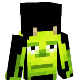 fiffers21 Minecraft avatar bust