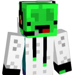 fightingman205 Minecraft avatar bust