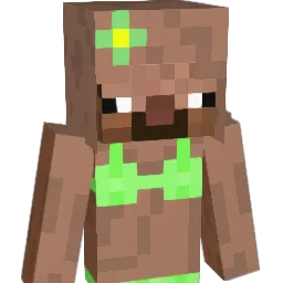 fign Minecraft avatar bust