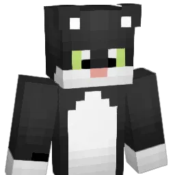 filop4 Minecraft avatar bust