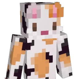 fin1ee Minecraft avatar bust