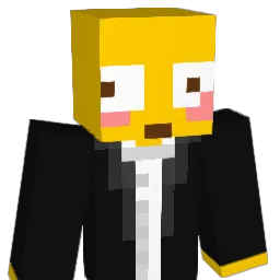 fin_crisp Minecraft avatar bust