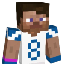 findroxel's Minecraft skin