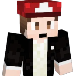 finessedthc Minecraft avatar bust