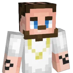 finfin123123 Minecraft avatar bust