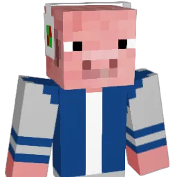 finmac1's Minecraft skin
