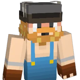 finn2011 Minecraft avatar bust