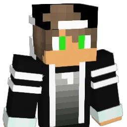 finn_hsv08 Minecraft avatar bust