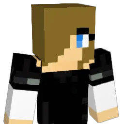 finster15 Minecraft avatar bust