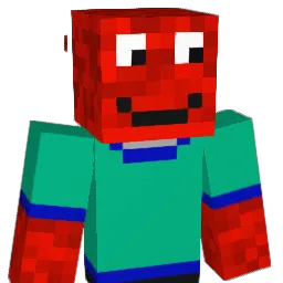 finus223 Minecraft avatar bust