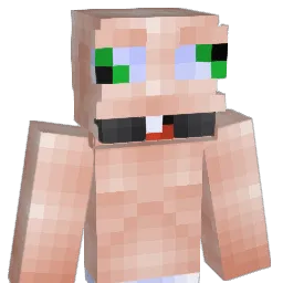 finy96 Minecraft avatar bust