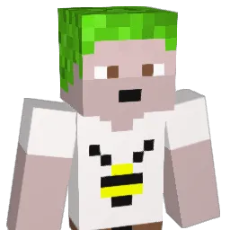 fippo1005 Minecraft avatar bust